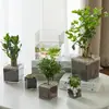 Changyi al por mayor caja de flores acrílica transparente cuadrada flores planta verde arreglo floral contenedor hidropónico material floral