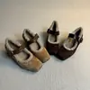 Sapatilhas Exclusivas Estilo Retro Nariz de Porco com Pelo, Sapatos Mary Jane Rasos de Inverno com Biqueira Quadrada e Forro de Lã Quente com Uma Tira