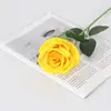 Rosas Simuladas de Veludo, Rosas de Pérola, Decoração de Parede de Rosas para Casa, Hotel, Casamento, Dia dos Namorados, Flores de Seda, Flores Artificiais