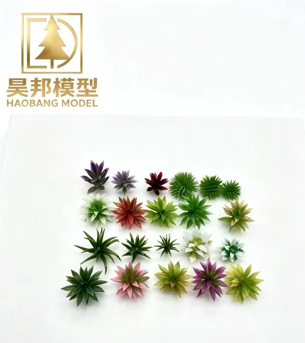 多色花