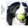 Gadget para Aliviar el Aburrimiento para Cachorros, Pelota Elástica para Entrenamiento al Aire Libre para Perros Pequeños, Pelota de Juguete Duradera para Perros