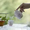 Tetera de Cerámica Pintada a Mano Estilo Dinastías Tang y Song con Filtro en Forma de Bola, Color Bajo Esmalte y Delicados Patrones Rosas para Uso Doméstico