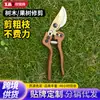 Herramientas de jardinería, tijeras de podar, tijeras de jardinería para bonsái, tijeras para podar ramas, tijeras para flores, tijeras grandes para ramas de ahorro de mano de obra, venta al por mayor
