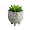 Vaso Pequeno de Controle de Carne com Logo Personalizado Vaso de Flor Pequeno com Pé Fogão de Aromaterapia em Forma de Vaso de Rosa Verde Simples e Moderno Mais Vendido Transfronteiriço