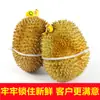 Cinchos Durian 5X650 Cinchos de Nylon Cuerda de Amarre Antirrotura Suministro Directo de Fábrica Cuerda de Amarre al por Mayor