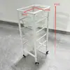 Novo Carrinho de Cabeleireiro, Carrinho de Ferramentas para Salão de Beleza, Carrinho de Cabeleireiro Multifuncional, Carrinho para Permanente e Coloração de Barbearia, Carrinho de Armazenamento
