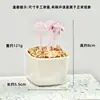 Adornos de Escritorio Hechos a Mano de Flor de Jacinto Suculento Esmaltado Decoración de Maceta de Planta Artificial de Vidrio Micro Paisaje Creativo