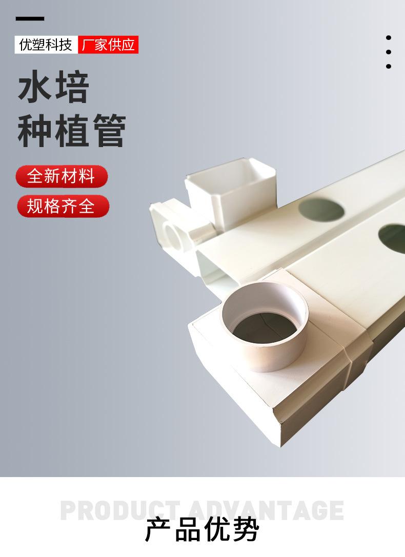 水培种植管_01