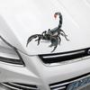 Pegatinas divertidas de PVC con dibujos de animales para coche, pegatinas tridimensionales para cubrir arañazos, pegatinas decorativas para carrocería