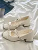Sapatos Mary Jane Quadrados com Laço Estilo Francês para Mulheres, Novos Sapatos Doces de Salto Grosso Primavera 2026 para Combinar com Saias, Sapatos de Tira Única