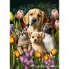 Pintura de Diamante DIY Transfronteiriça Diamante Cheio Animal Gato Tigre Leão Pintura Decorativa AliExpress Amazon Venda Quente