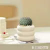 Plantas suculentas, plantas pequeñas de interior en maceta, cactus de mesa para sala de estar, plantas verdes, flores de vivero, fáciles de cuidar durante todo el año