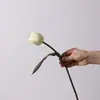 Noche Oscura Estilo Fluido Tulipán Artificial Florero Falso Sala de Estar Estilo Ins Té Negro Arreglo de Flores de Seda Adornos Decorativos
