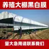 Filme Espessado Preto e Branco para Estufas de Cultivo, Película Refletora para Sombreamento e Isolamento Térmico, Cogumelos Comestíveis, Armazenamento de Forragem, Anti-Envelhecimento, Impermeável e à Prova de Sol