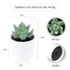 Más de 100 Tipos de Combinaciones de Plantas Suculentas Mini de Plástico Simuladas en Maceta, Mini Bonsáis Suculentos Más Vendidos Transfronterizos, Decoración para el Hogar, Adornos Creativos