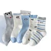 Calcetines Lindos de Cachorro para Mujer, Calcetines de Verano Finos de Encaje a Media Pantorrilla, Estilo Caricatura Japonesa de Moda, Calcetines Largos de Verano Estilo Universitario