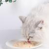 Snacks para Gatos, Tiras para Gatos, Engorde Nutricional, Gatitos en Lata, Paquetes de Pescado Seco para Gatitos, Maravilloso Alimento Húmedo Fresco para Gatos, 100 Piezas en un Cubo