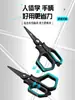 Nuevas Tijeras de Pesca Recubiertas de Titanio para Línea PE, Piel de Plomo, Hilo de Pescar, Dyneema, Acero Inoxidable, Tijeras para Señuelos, Multifuncionales