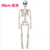 Marco de Calavera para Producto Nuevo Transfronterizo 90cm Articulado Ajustable Adorno de Terror de Halloween Calavera Humana Esqueleto Calabaza Marco de Calavera