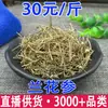Orquídea de Hierba Fría Orquídea de Ginseng Orquídea de Ginseng Venta al por Mayor Dropshipping