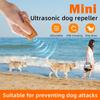 Mini Exhortador Ultrasónico para Perros Alta Potencia Larga Distancia Entrenamiento Detener Ladridos Exhortador para Perros Defensa Exterior Prevención de Ladridos de Perros