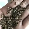 180 Variedades de Sementes de Flores Não Repetitivas, Fáceis de Cultivar em Todas as Estações, Podem Afastar Mosquitos, Adequadas para Varandas Internas e Externas, Distribuição Transfronteiriça