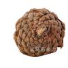 Pingente de árvore de Natal pinha natural de Natal decoração de férias pingente de Natal adereços de tiro Garland decoração atacado