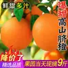Laranja Jiangxi Gannan variedade laranja-pera 10 libras fruta fresca sazonal caixa inteira autêntica para suco geleia laranja açúcar mascavo doce
