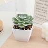 Mini Suculenta Verde Simulada Conjunto Pequeno Atacado Decoração de Casa Exposição de Entrada Mais Vendido da Amazon Plantas em Vaso