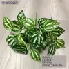 Decoración de Pared de Plantas Simulación Planta Pegamento Hojas Falsas Malla Blanca Planta Verde Planta de Interior Pared de Flores Arreglo