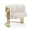 Sillón individual, acero inoxidable, lujo ligero, diseño moderno, estilo nórdico, adecuado para salas de estar, hoteles, áreas de recepción y salas de reuniones