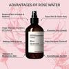 Rocío Puro de Rosa Hidrosol de Rosa toallitas aditivo agua cosmética materia prima humidificador Spray de aromaterapia de rosa