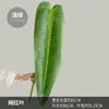 Decoración de Pared de Planta Artificial de Moda con Textura Realista de Hojas de Monstera, Suministro Transfronterizo de Hojas de Taro Artificiales de Colores