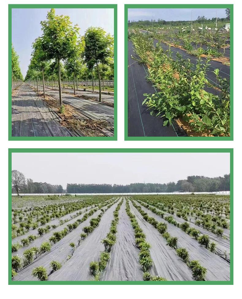 详情页-临沭华际塑编有限公司-2_15.jpg