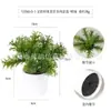 Planta artificial de plástico en maceta mini transfronteriza personalizada, adornos de escritorio, suculentas verdes, bonsái de simulación, combinación libre
