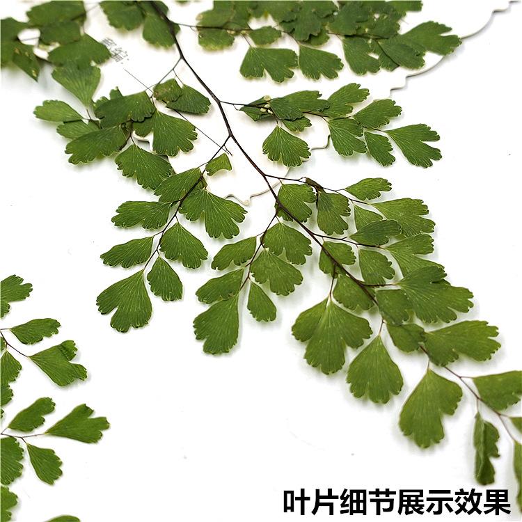 IMG20200306150549