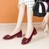 Zapatos Planos de Tacón Grueso para Mujer 2026 Nuevo Verano Nuevo Estilo Chino Qipao Zapatos de Boda Zapatos de Salón Exquisitos Franceses para Mujer y Zapatos para Mamá