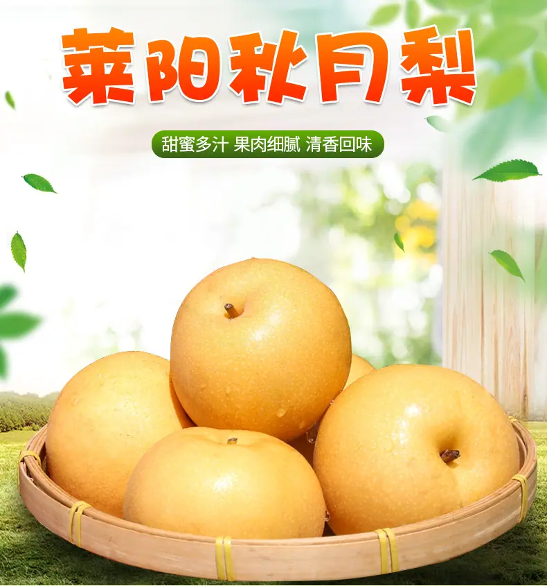 秋月梨详情图1