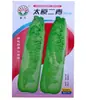 Sementes de Repolho Erqing de Taiyuan Horta de Fazenda Núcleo Enrolado Fibra Compacta Menos Folha de Cânhamo Verde Reta Sementes de Vegetal de Repolho