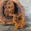 Adorno de Estatua Pequeña de Madera de Azufaifo Golpeada por un Rayo Natural de Zhong Kui, Talla de Madera Maciza de Zhong Kui, Decoración de Escritorio para Estudio de Maestro Celestial Zhong Kui