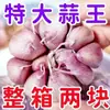 Cabeças de Alho Secas de Cultivo Próprio no Condado de Qixian, Henan, Colheita de 2025. Alho Desidratado com Casca Vermelha, Roxa e Branca Pode Ser Usado para Conservar Alho Laba