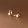 Brincos de Prata 925 Esterlina de Alto Padrão Leve Luxo Zircônia Brincos Moda Novo Estilo Ins Temperamento Argolas de Orelha Presilhas de Orelha Acessórios de Orelha Feminino