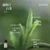 Líquido de Relleno de Aceite Esencial de Plantas de Aromaterapia de 15 ml para Difusor de Piedra de Yeso, Adornos Aromáticos, Especializado para Uso en Interiores, Fragancia de Alta Gama y Larga Duración
