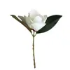 Pegamento de alta calidad, cabeza única, flor de magnolia grande simulada, flor artificial de plástico, proyecto de boda, paisajismo, injerto de árboles