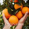 Itália SicíliaDmitry Ritmo Óleo Essencial de Laranja Doce Óleo Essencial de Planta Europeia Natural Matérias-Primas de Óleo Essencial Importadas