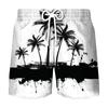 Pantalones de playa deportivos de ocio para hombre, venta al por mayor, impresión digital 3D, para vacaciones de verano en la playa, 2023