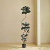 Plantas Verdes Artificiais, Árvore de Borracha Preta de Luxo de Alta Qualidade, Figueira Lira, Árvore Decorativa Artificial de Chão de Alta Qualidade para Sala de Estar Interna