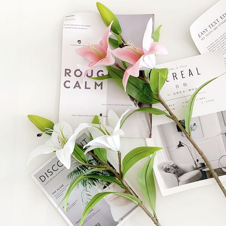 QQ图片20220819141329