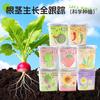 Plantación Infantil Mini Plantas en Maceta Estudiantes de Jardín de Niños Primaria Frutas y Verduras Flores Semillas de Pasto Caja de Observación del Crecimiento de Plantas