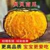 Abóbora Bebê de Shandong, abóbora pequena de sabor de castanha fresca, doce, farinhenta e perfumada, direto da origem, adequada para bebês e mulheres grávidas